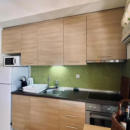 Chiotis Family House Chrysi Ammoudia